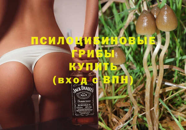 МДПВ Алексин