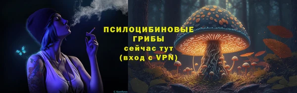 МДПВ Алексин