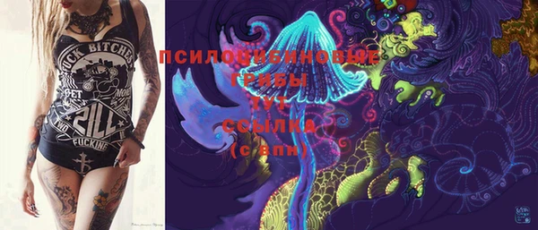 соль курить ск Алзамай